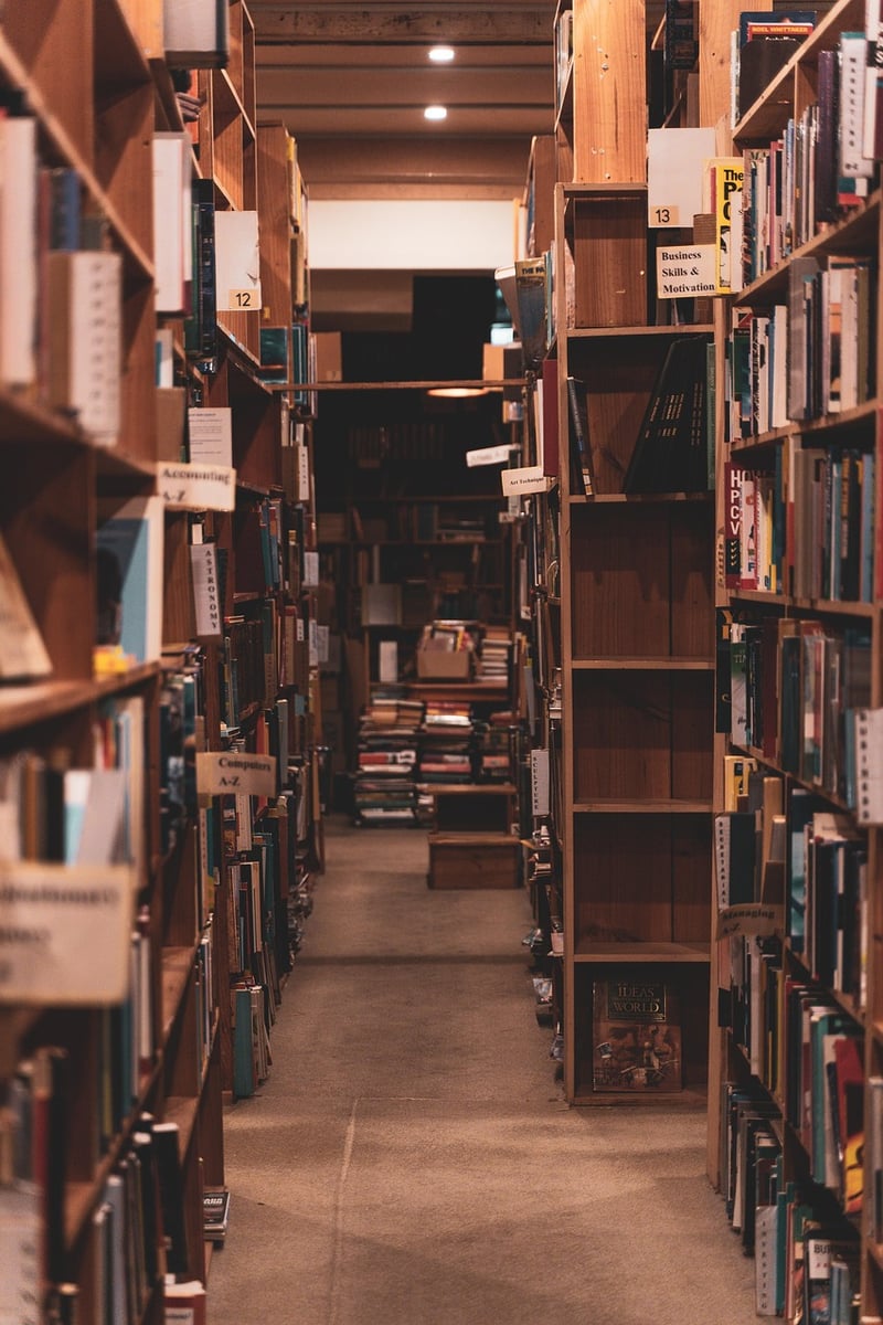Future Dystopia Novels