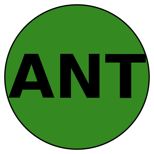Authentic Network Travels